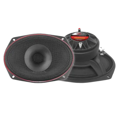 MEDIO RANGO 6x9" C/DRIVER 600Wrms 1200W